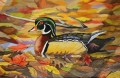 mandarin duck in autumn birds